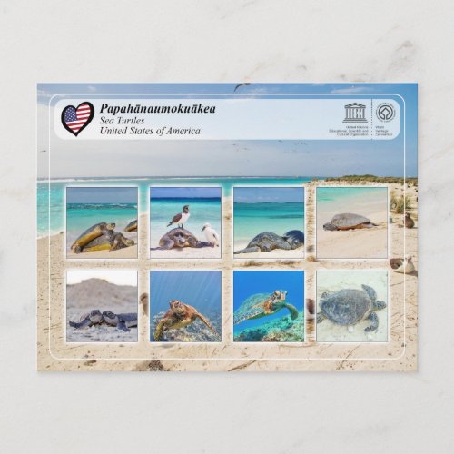 UNESCO WHS _ PapahÄnaumokuÄkea _ Sea Turtles Postcard