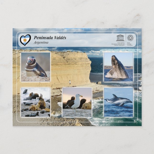 UNESCO WHS - Península Valdés Postcard (Front)