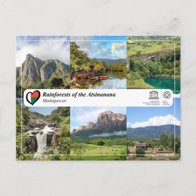 UNESCO WHS - Rainforests of the Atsinanana Postcard (Front)