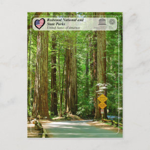 UNESCO WHS - Redwood National and State Parks Postcard