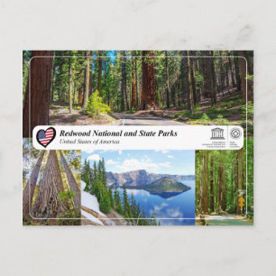 UNESCO WHS - Redwood National and State Parks Postcard