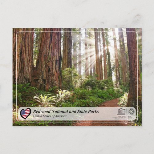 UNESCO WHS _ Redwood National and State Parks Postcard