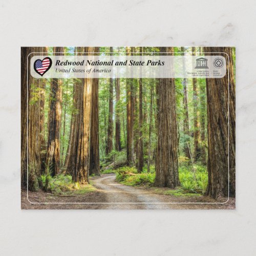UNESCO WHS _ Redwood National and State Parks Postcard
