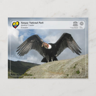 UNESCO WHS - Sangay National Park - Andean Condor Postcard