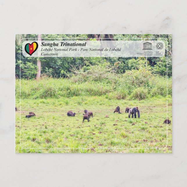 UNESCO WHS - Sangha Trinational - Lobéké Postcard (Front)
