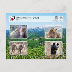 UNESCO WHS - Shirakami-Sanchi - 白神山地 Postcard
