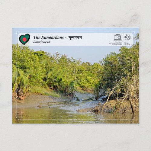 UNESCO WHS _ The Sundarbans _ সুন্দরবন Postcard