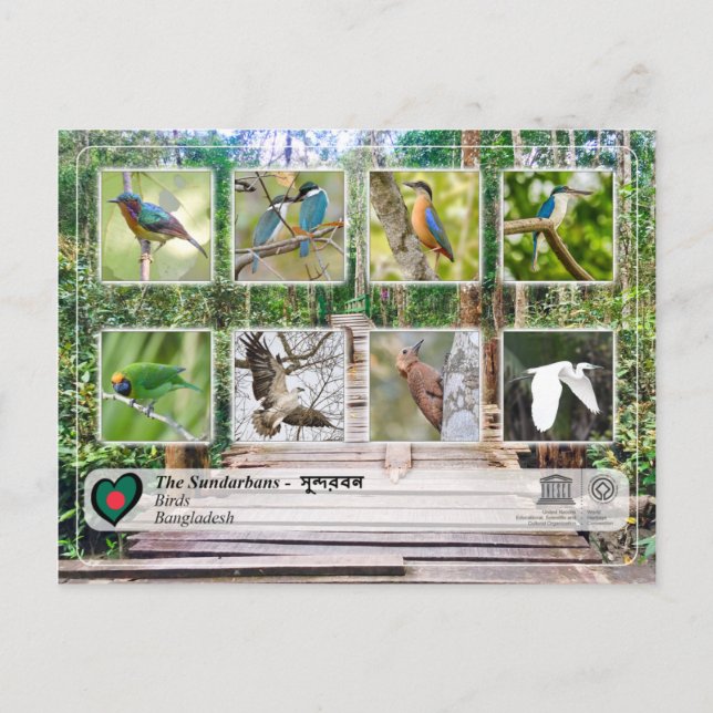 UNESCO WHS - The Sundarbans Postcard (Front)