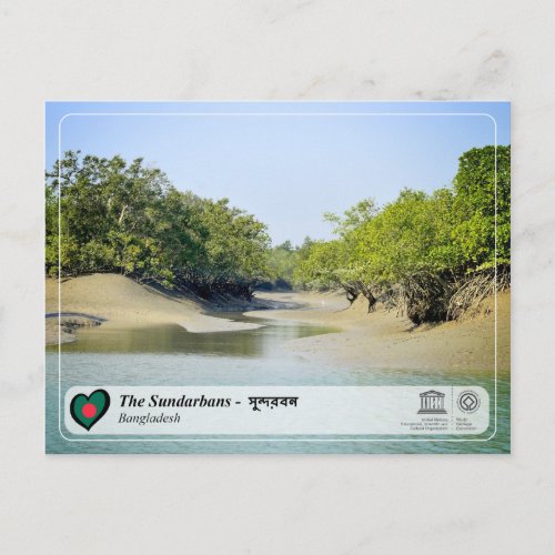 UNESCO WHS _ The Sundarbans Postcard