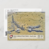UNESCO WHS - Wadi Al-Hitan (Whale Valley) Postcard (Front/Back)