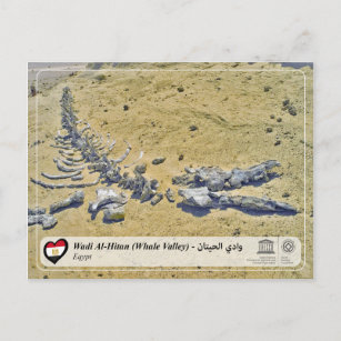 UNESCO WHS - Wadi Al-Hitan (Whale Valley) Postcard