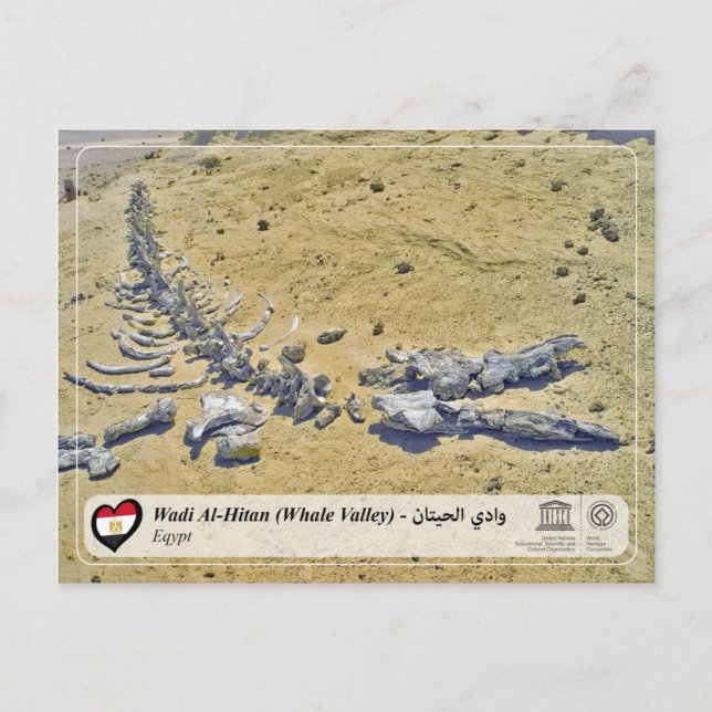 UNESCO WHS - Wadi Al-Hitan (Whale Valley) Postcard (Front)
