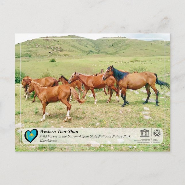 UNESCO WHS - Western Tien-Shan - Sairam-Ugam Postcard (Front)
