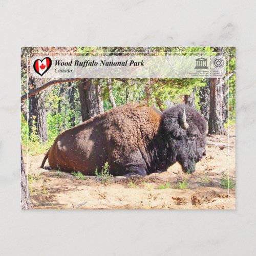 UNESCO WHS _ Wood Buffalo National Park Postcard