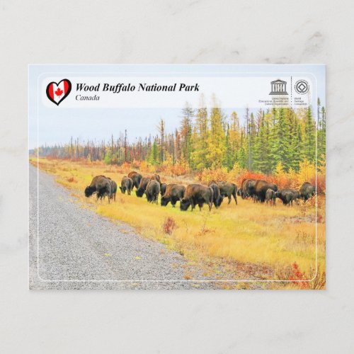 UNESCO WHS _ Wood Buffalo National Park Postcard