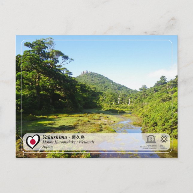 UNESCO WHS - Yakushima - 屋久島 Postcard (Front)
