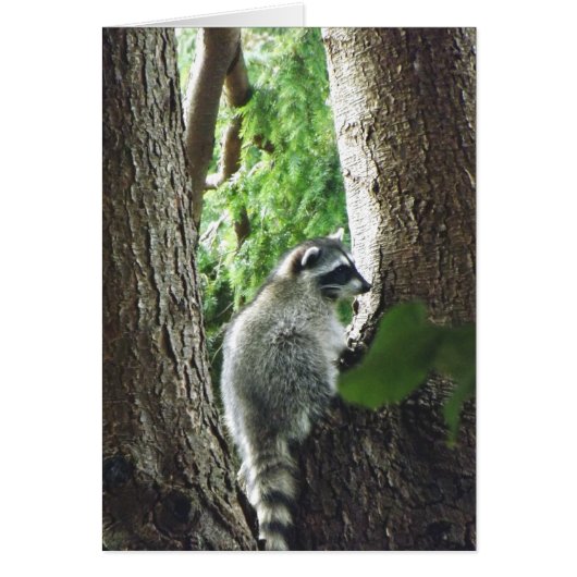 Unexpected Visitor Cards (Front)