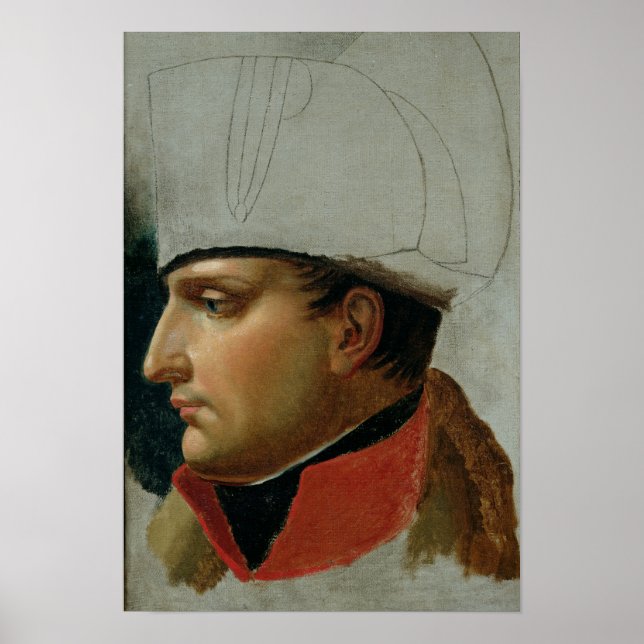 Unfinished Portrait of Napoleon I Poster (Front)