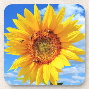 unflower and Bees Coaster