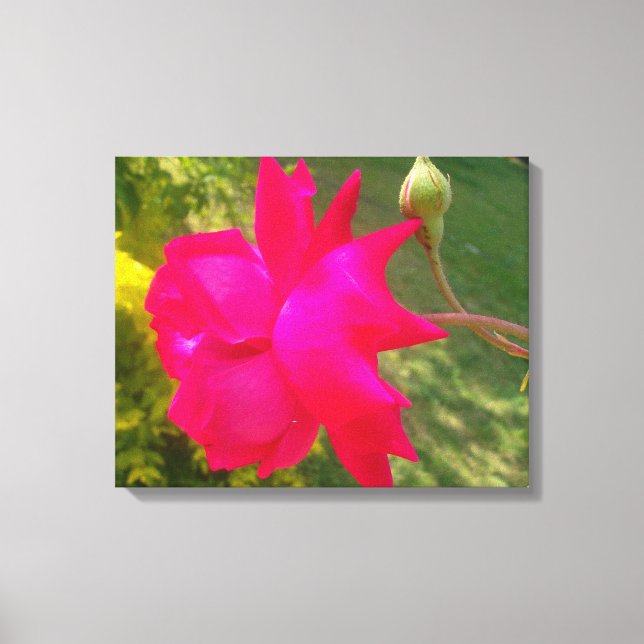 Unfolding Beauty: The Red Rose and Its Bud Canvas Print (Front)
