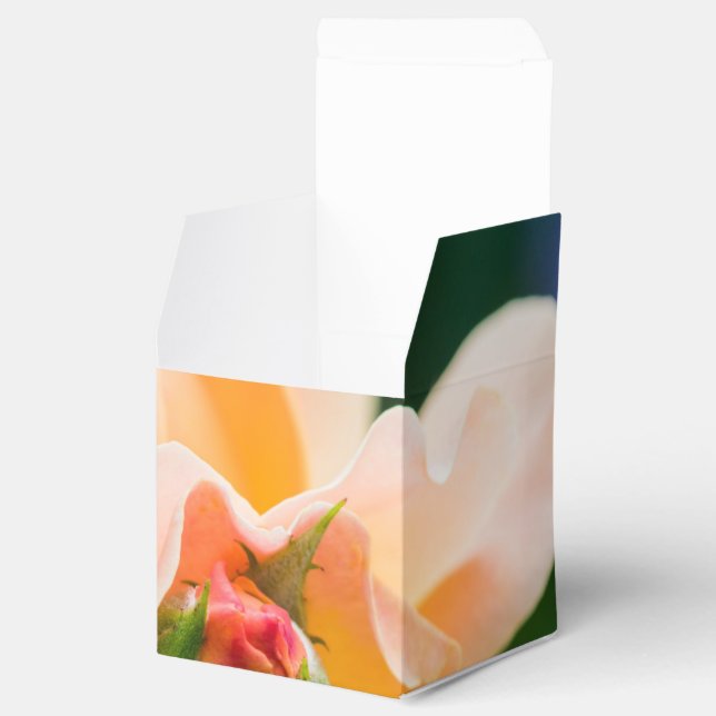 unfolding desire favor box (Opened)