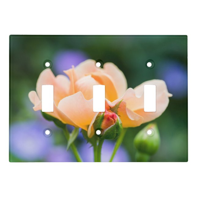 unfolding desire light switch cover (Front)