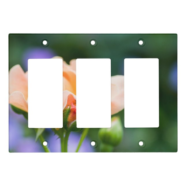 unfolding desire light switch cover (Front)