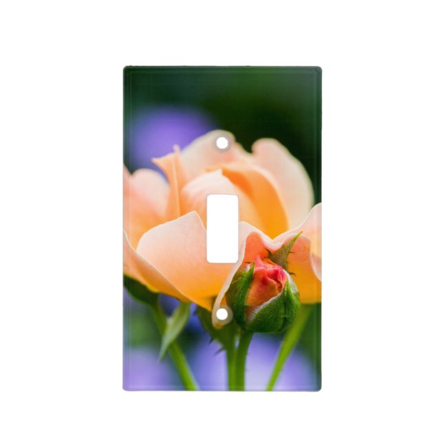 unfolding desire light switch cover (Front)