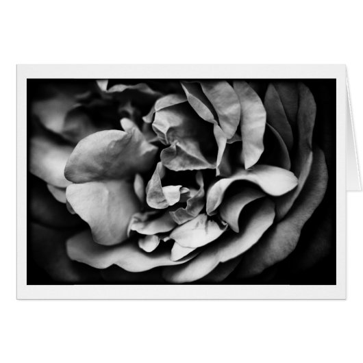 unfolding inner life cards (Front Horizontal)