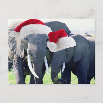 Unforgettable Elephant Christmas Holiday Postcard by StarStruckDezigns at Zazzle