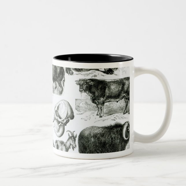 Ungulata or Hoofed Animals Two-Tone Coffee Mug (Right)