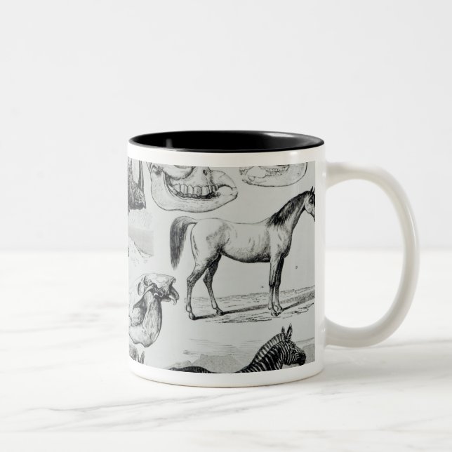 Ungulata or Hoofed Animals Two-Tone Coffee Mug (Right)
