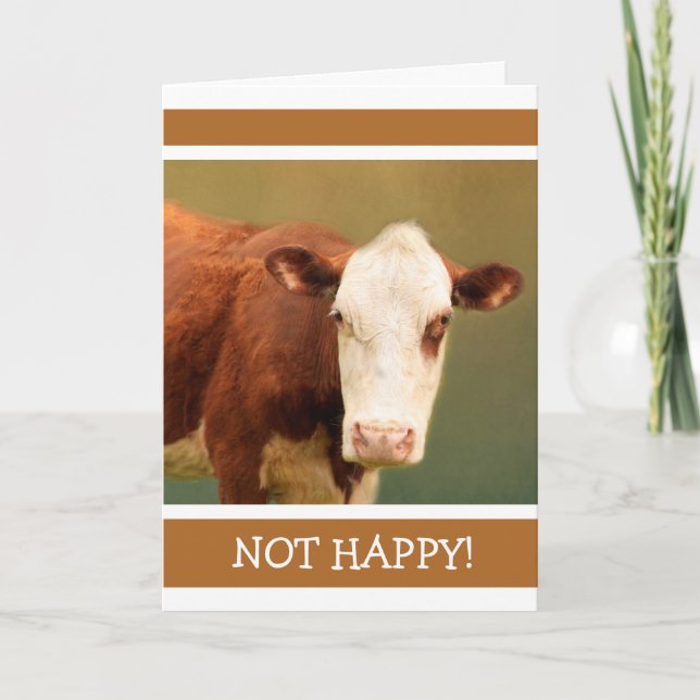 Unhappy Cow Get Well Card (Front)