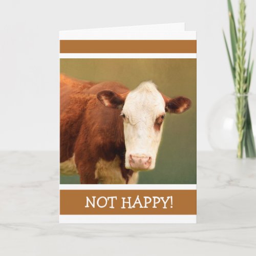 Unhappy Cow Get Well Card