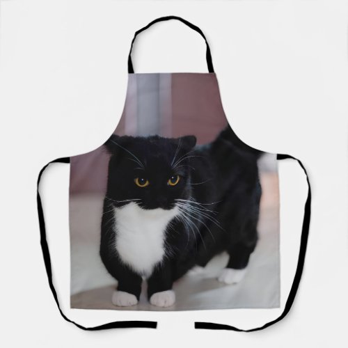 UniMaxwell Cat Front Apron