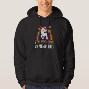 Unicorn Age 22 Year Old Rainbow Gay Pride Lgbt Pri Hoodie