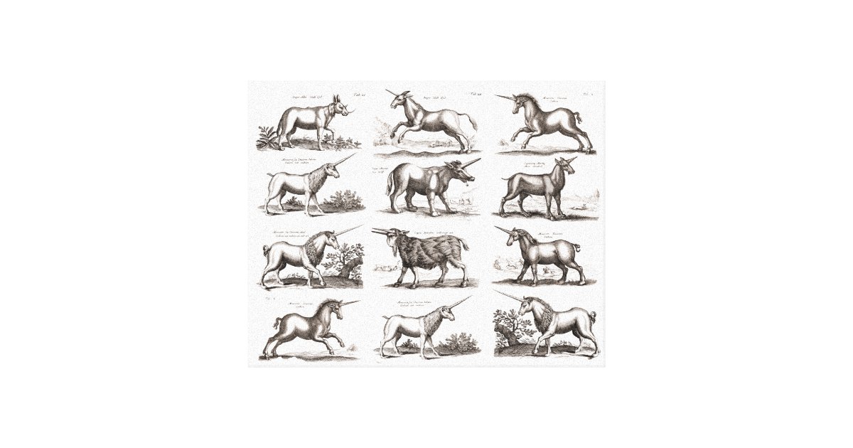 Unicorn Antique Mythical Magic Animal Drawings Canvas Print | Zazzle