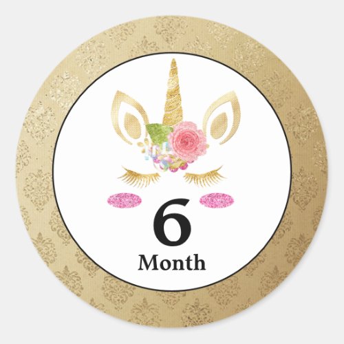 Unicorn Baby Month Stickers