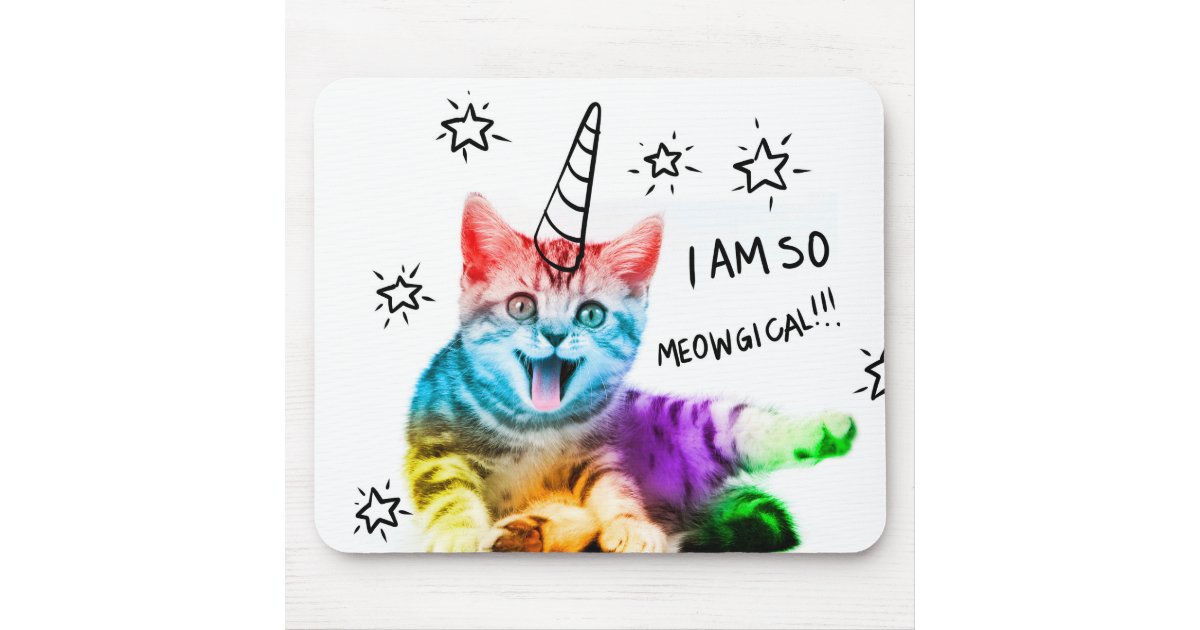 Download Unicorn cat - meowgical - color cat - rainbow cat mouse ...