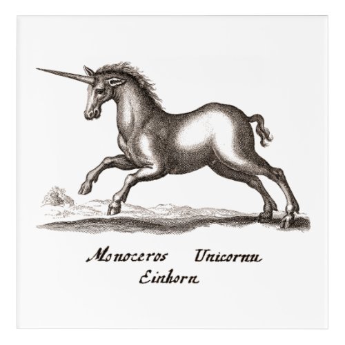 Unicorn Classic Running Magic Woodland Creature Acrylic Print