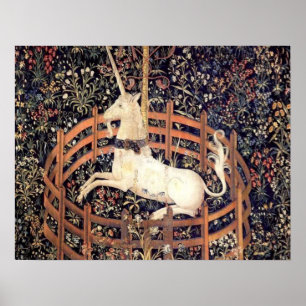 Unicorn In Captivity Poster