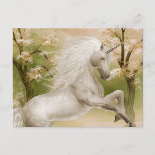 Unicorn Magical Beauty Postcard