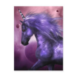 Unicorn  Postcard