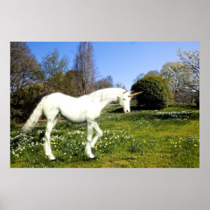 Unicorn Poster