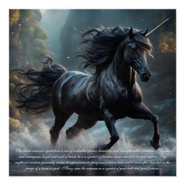 Unicorn Poster (Front)