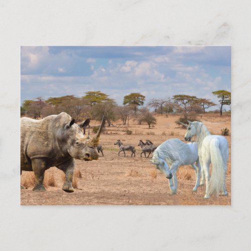 Unicorns Cubby Rhino Rhinoceros Africa Postcard