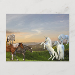 Unicorns Meet Horses Fanasy land Postcard