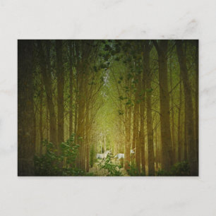Unicorns Postcard