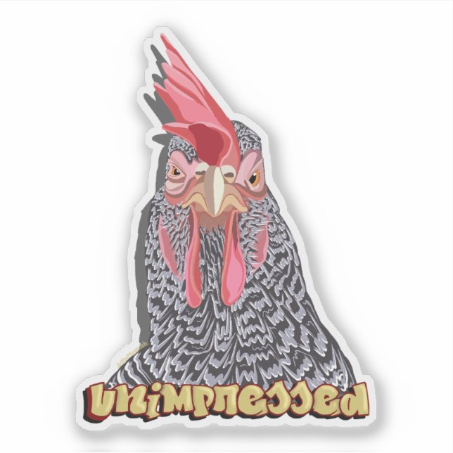 Unimpressed Barred Rock Hen Sticker (Front)
