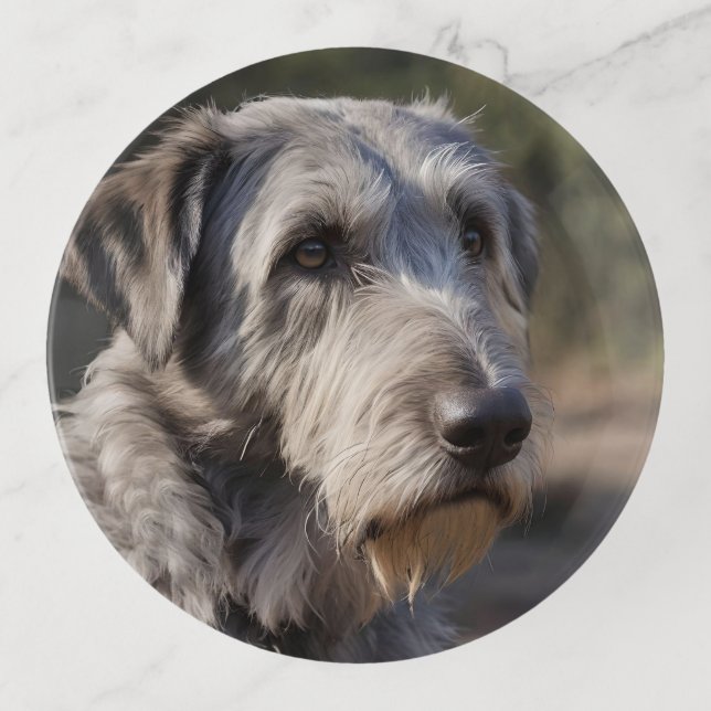"Unimpressed Majesty: The Wolfhounds' Stoic Gaze" Trinket Tray (Front)